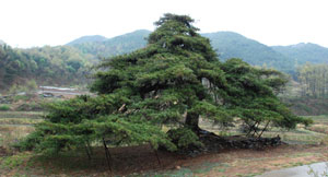 충북 보은 \