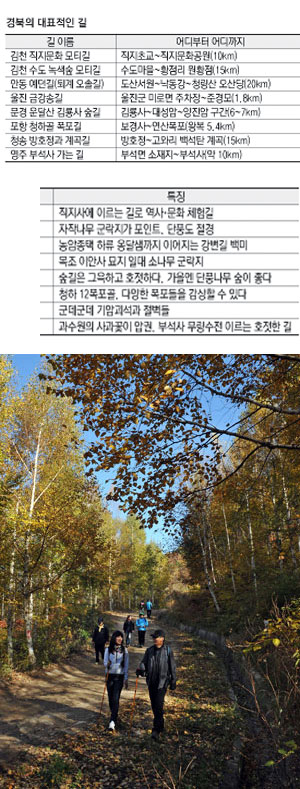 김천의 대표 길인 수도 녹색숲 모티길을 1시간 정도 걷다 보면 자작나무 군락지를 만난다. 노랗게 물든 자작나무 사이로 걷는 산길은 가을 산행의 즐거움을 더해준다. 김태형기자 thkim21@msnet.co.kr