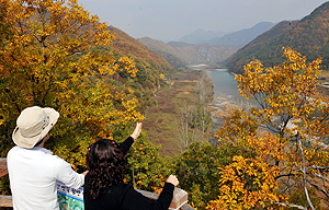 퇴계오솔길은 학문의 길이다. 또한 주변의 비경과 어우러져 우리나라 최고의 강변길로도 대접받고 있다. 퇴계오솔길 걷기는 가을, 지금이 적기다.