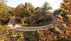 구미의 산길은 산림청이 선정한 아름다운 임도 100선에 뽑힐 만큼 숲길의 정수를 보여준다. 특히 냉산의 산길 중간중간에서 바라보는 낙동강의 전경은 한 폭의 그림과 견주어도 넘칠 정도다.