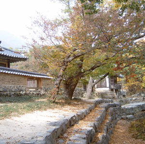 독락당의 살창과 계정. 앞쪽 담장의 네모진 부분이 살창이고, 뒤로 보이는 정자가 계정이다.