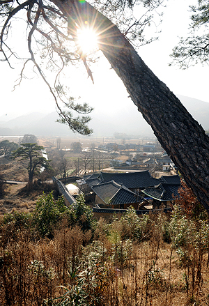 성주는 도은 이숭인, 동강 김우옹, 한강 정구, 응와 이원조, 심산 김창숙 등 고려 말 충의를 지킨 선비와 조선 성리학의 대유들을 배출해 