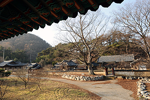 회연서원은 한강 선생이 회연초당을 세워 후학을 양성하던 곳이다. 회연서원은 성주를 대표하는 수많은 선비들을 배출했다.