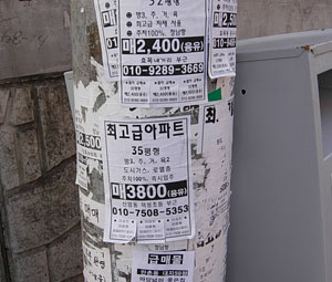 대구 동구 방촌동의 도로가 전봇대에 부동산 매물 광고가 잔뜩 붙어 있다. 광고물은 풀칠을 해놔 잘 떨어지지도 않는다. 대구공인중개사협회 동구지회 제공
