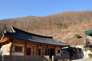 속살을 고스란히 드러낸 겨울산에 내리비치는 햇살이 따사롭다. 갑작스레 숲을 따라 오르고 싶어진다.