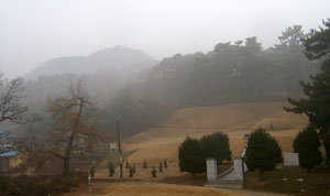 묘 앞에서 본 한산 이씨 시조묘. 왼쪽 운무(雲霧)사이로 주산이 신비롭다. 금계포란형에서 주산은 닭의 머리가 된다.