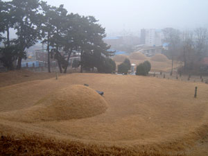 묘 뒤에서 본 전경. 혈장이 양택지처럼 널찍하다. 왼쪽에 봉분처럼 보이는 세 개의 봉우리가 달걀을 상징하는 알봉이다.