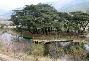 덕동숲