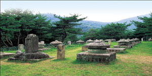 연꽃잎처럼 주변의 산들이 태봉을 감싸 앉은 듯한 형상을 하고 있는 세종대왕자태실.