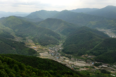 비슬기맥 초입의 운문면 정상리 일대. 구룡산(675m)에서 남쪽으로 반원을 그리며 내려서는 지릉 아래 골짜기 풍경이다. 구룡산 정상은 사룡산(686m)과 5㎞가량 떨어져 비슬기맥에 두 번째 솟는 600m급 봉우리다.