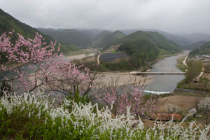 배나들마을 전경.
