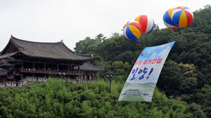 밀양시내 곳곳에 