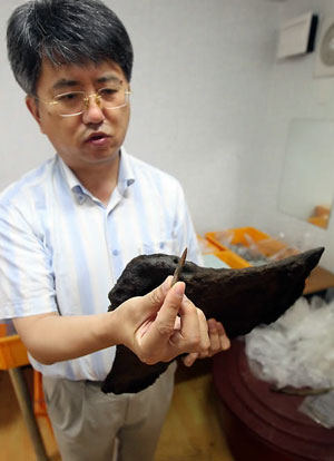 화살촉이 박힌 고래 견갑골. 지난달 말 울산신항만 부두 연결도로 개설공사 부지에서 발굴했다.