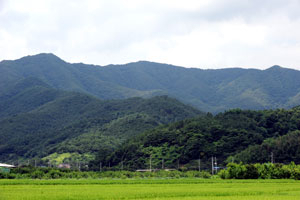 사진 = 남쪽에서 바라 본 선의산. 중앙의 불룩한 부분이 최고봉이고 오른쪽(동편) 끝 봉우리가 시루봉이다. 맨 왼편 714m 
