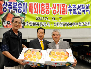 상주 복숭아가 도내 처음으로 7일 홍콩과 싱가포르로 대량 수출길에 오르고 있다