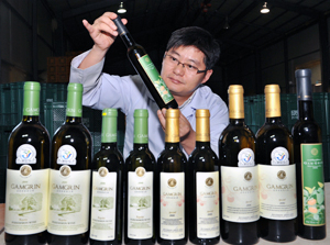 영하 20℃ 상태에서 2년 동안 얼린 냉동 감을 파쇄하고 특수여과기를 통해 걸러진 와인을 직접 눈으로 확인하고 있다.