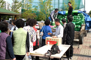 11일 예천군이 자매결연을 한 경기도 군포시 한 행사장에서 열린 배추 반값 판매 행사에서 시민들이 줄을 지어 배추를 사고 있다.
