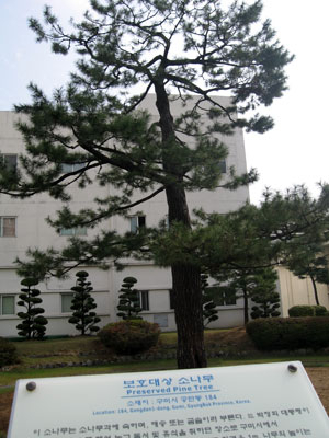 구미국가산업단지 내 메르디안 솔라 앤 디스플레이(옛 LG필립스디스플레이) 사내에 있는 박정희 전 대통령의 유년시절 추억이 깃든 
