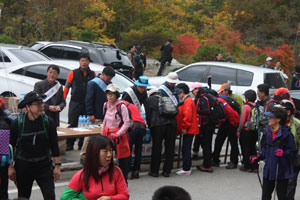 지난 주말 봉화 청량산도립공원을 찾은 관광객들이 동남권 신국제공항 밀양 유치 서명을 하고 있다.