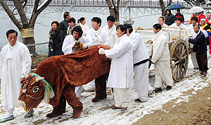 구제역 여파 속에 11일 경북 안동에서 열린 안동석빙고 장빙제에서 지난 9년간 줄곧 달구지를 끌던 누렁이 대신 소의 탈을 쓴 인부들이 달구지를 끌며 운빙 과정을 재현하고 있다. 올해 달구지를 끌 예정이던 소가 구제역으로 가축 이동제한에 묶여 사람이 대신했다고 행사 관계자는 전했다. 성일권기자 sungig@msnet.co.kr