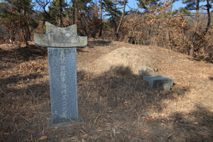 마을 계몽에 앞장섰던 오시환 선생의 비석과 묘가 의봉산 기슭에 자리 잡고 있다.