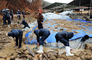전국적으로 많은 비가 내린 27일 오후 경북 안동시 서후면의 구제역 매몰지에서 공무원들이 매몰지 유실 및 빗물 유입을 막기 위해 배수로 정비 작업을 벌이고 있다. 성일권기자 sungig@msnet.co.kr