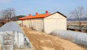 곡창지대인 동동마을에는 지금도 거대한 정미소(사진 아래)가 가동되고 있고, 미곡창고(아위) 건물도 남아 있다.