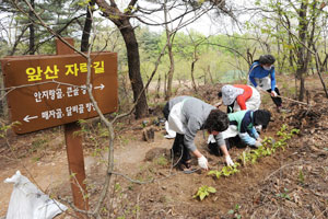 대구 남구서 앞산 매자골에서 고산골 메타세콰이어길에 이르는 7.6km 구간에 야생화 2만3천여 포기를 식재, 앞산 자락길을 찾는 등산객들에게 선보이고 있다. 사진은 앞산 자락길에 야생화를 심는 모습.