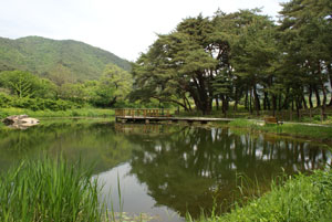 덕동마을의 자랑거리 호산지당과 섬솔밭.