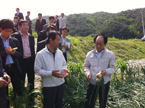 서규용 농림수산식품부 장관이 3일 오후 문경의 양파재배 현장을 방문, 농민의 애로사항을 경청하고 있다.