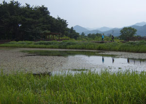삼릉을 바로 앞에 두고 태전지 연못이 있다. 삼릉의 울창한 숲과 호수가 어우러져 한폭의 산수화 같다.