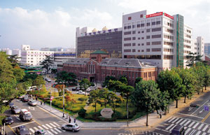 경북대병원은 위암, 대장암, 간암, 폐암, 갑상선암 등은 전국 상위 10위 안에, 유방암수술은 20위 안에 드는 등 우수한 치료실적을 자랑한다.