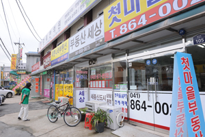 세종시