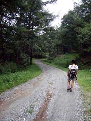 한 등산객이 경산 하양 대곡리에서 임도를 따라 새미기재를 걷고 있다. 이 길은 예전에 대구 평광동과 경산 하양 대곡리를 연결하는 길로 지금은 그 흔적을 찾아볼 수 없다.