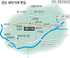 대구 평광동 시랑지 물과 그 옆으로 난 임도가 호젓하기만 하다.