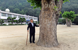 63년 만에 다시 찾은 남후초등학교. 교정에는 그때 그 플라타너스 나무가 말없이 나를 반긴다. 김태형기자 thkim21@msnet.co.kr