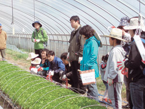대구에서 온 시민들이 지리산 산내꾸러미 사업단을 방문해 친환경 먹거리가 재배되는 것을 견학하고 있다.