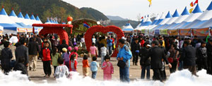지난해 열린 청송사과축제 모습.