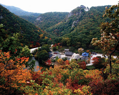 수려한 절경을 자랑하는 운제산 자락에 터를 잡은 오어사는 형형색색의 단풍으로 불타고 있다.