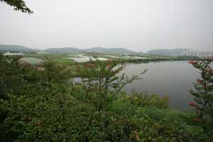 대구수성의료지구에 소프트웨어(SW) 융합 클러스터가 조성될 계획이다. 지역 SW 업체들은 본사 사옥을 건립하는 등 집적화 효과를 누릴 것으로 보고 적극적으로 나서고 있다.