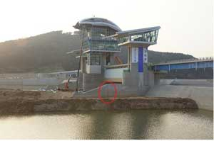 낙동강사업 30공구 구미보 수문 옆의 용꼬리 조형물 이음부(원 안)가 벌어져 있다. 대구경북녹색연합 제공
