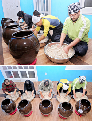 기자가 거창군 국농소 술 빚는 마을에서 밀가루 반죽과 누룩을 골고루 섞는 작업을 하고 있다.
