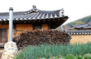 영덕 괴시리는 고택이 잘 보존된 전통마을이다. 이곳은 영양 남씨 집성촌이자, 목은 이색 선생이 태어난 곳이기도 하다.