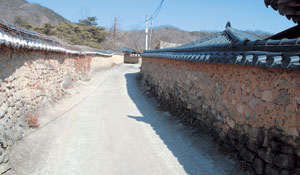 성주 한개마을=황토흙 사이에 색깔과 모양이 제각각인 자연석을 군데군데 박아 쌓은 한개마을 돌담길은 고즈넉하고 정겨운 정취를 만끽하기에 제격이다.