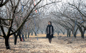 예전에 대부분 논이었던 고향 들녘이 지금은 자두, 배, 복숭아밭으로 변했다.