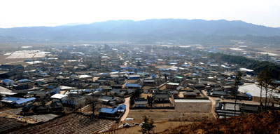 오미봉에서 남쪽으로 바라 본 금당실 마을. 멀리 해발 200m 내외의 산들이 병풍처럼 둘러쳐진 가운데 금곡천이 오른쪽에서 마을을 감싸고 휘도는 국내 최고의 명당중 하나로 꼽힌다. 마을 오른쪽을 감싼 송림은 북서풍을 막기 위해 비보림으로 조성한 것이다. 김태형기자 thkim21@msnet.co.kr