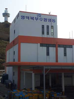 사진설명=영덕 북부수협은 냉동창고에서 출고지시서 없이 수억원대의 수산물이 빠져나갔다며 경찰에 수사를 의뢰했다. 박승혁기자