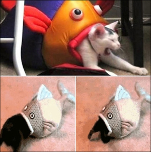 (사진.온라인 커뮤니티 게시판)