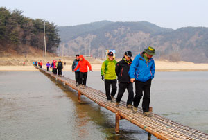 용궁면 대은리를 지나는 내성천을 찾은 관광객들이 