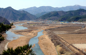 내 고향 영덕군 지품면 신양리. 마을 앞으로 오십천의 지류인 달산천이 흐르고 있다.